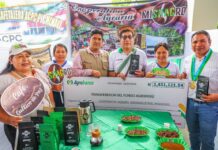 Productores de café y cacao de Satipo y Chanchamayo reciben S/ 31 millones en créditos Productores de café y cacao de Satipo y Chanchamayo reciben S/ 31 millones en créditos