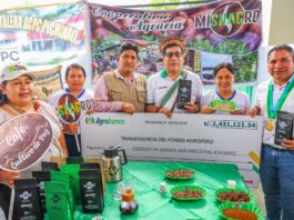 Productores de café y cacao de Satipo y Chanchamayo reciben S/ 31 millones en créditos Productores de café y cacao de Satipo y Chanchamayo reciben S/ 31 millones en créditos