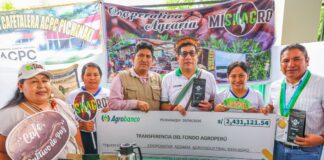 Productores de café y cacao de Satipo y Chanchamayo reciben S/ 31 millones en créditos Productores de café y cacao de Satipo y Chanchamayo reciben S/ 31 millones en créditos