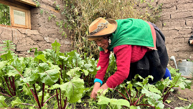 Agricultura familiar recibirá apoyo ante friaje y bajas temperaturas Agricultura familiar recibirá apoyo ante friaje y bajas temperaturas