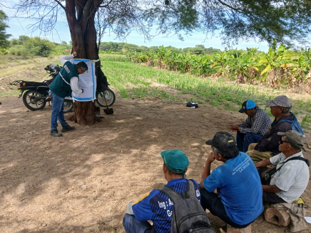 Piura instala parcela de hortalizas orgánicas para pequeños agricultores
