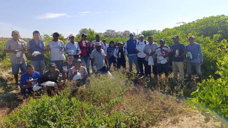 Agricultores de Medio Piura fortalecen manejo del pH para mejorar uso de agroquímicos