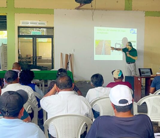 Productores de Sechura reciben apoyo técnico para optimizar riego y cultivos