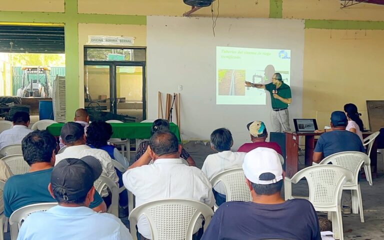 Productores de Sechura reciben apoyo técnico para optimizar riego y cultivos