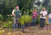Productores de Madre de Dios reciben plantones mejorados de camu camu Productores de Madre de Dios reciben plantones mejorados de camu camu