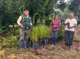 Productores de Madre de Dios reciben plantones mejorados de camu camu Productores de Madre de Dios reciben plantones mejorados de camu camu