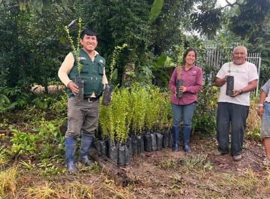 Productores de Madre de Dios reciben plantones mejorados de camu camu Productores de Madre de Dios reciben plantones mejorados de camu camu