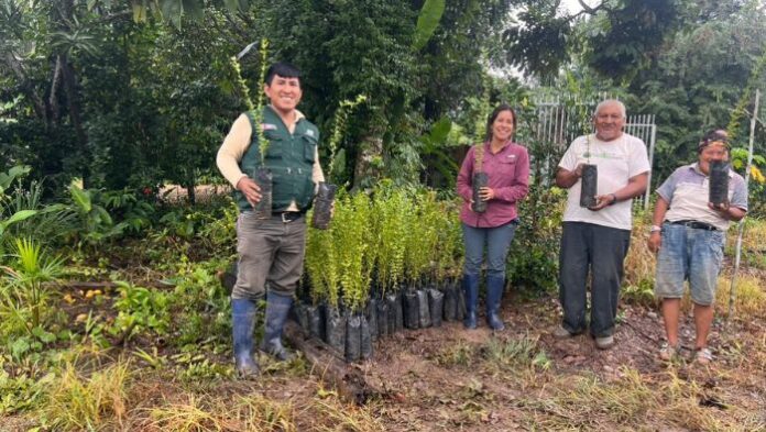 Productores de Madre de Dios reciben plantones mejorados de camu camu
