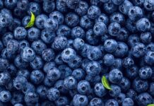 Sector agropecuario crece 2.4% en el primer bimestre impulsado por agricultura y ganadería Sector agropecuario crece 2.4% en el primer bimestre impulsado por agricultura y ganadería