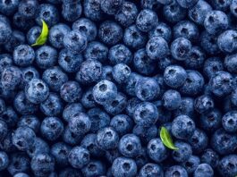 Sector agropecuario crece 2.4% en el primer bimestre impulsado por agricultura y ganadería Sector agropecuario crece 2.4% en el primer bimestre impulsado por agricultura y ganadería