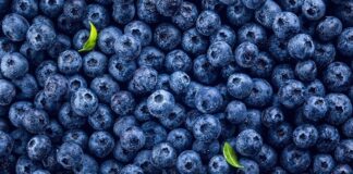 Sector agropecuario crece 2.4% en el primer bimestre impulsado por agricultura y ganadería Sector agropecuario crece 2.4% en el primer bimestre impulsado por agricultura y ganadería