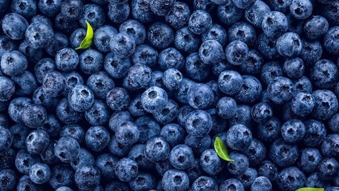 Sector agropecuario crece 2.4% en el primer bimestre impulsado por agricultura y ganadería