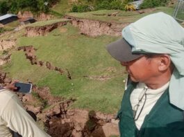 Gobierno activa Seguro Agrícola Catastrófico para productores afectados en San Martín Gobierno activa Seguro Agrícola Catastrófico para productores afectados en San Martín