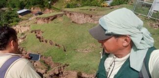 Gobierno activa Seguro Agrícola Catastrófico para productores afectados en San Martín Gobierno activa Seguro Agrícola Catastrófico para productores afectados en San Martín