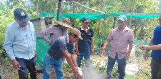Piura: agricultores de Paimas elaboran caldo sulfocálcico para control de plagas agrícolas Piura: agricultores de Paimas elaboran caldo sulfocálcico para control de plagas agrícolas