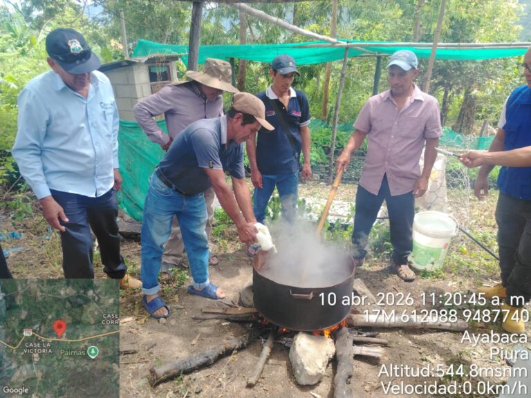 Piura: agricultores de Paimas elaboran caldo sulfocálcico para control de plagas agrícolas