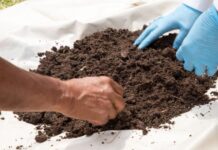 Mapas de fertilidad del suelo ayudarán a mejorar rendimiento de cultivos Mapas de fertilidad del suelo ayudarán a mejorar rendimiento de cultivos