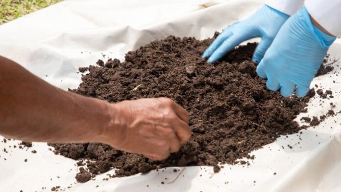 Mapas de fertilidad del suelo ayudarán a mejorar rendimiento de cultivos