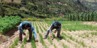 Áncash contará con nueva estación del INIA para investigación agrícola Áncash contará con nueva estación del INIA para investigación agrícola