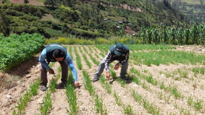 Áncash contará con nueva estación del INIA para investigación agrícola