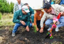 Gobierno lanza programa forestal con meta de 10 millones de árboles al 2028 Gobierno lanza campaña 2026 del Programa Bosques Productivos Sostenibles con meta de 10 millones de árboles