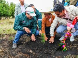Gobierno lanza programa forestal con meta de 10 millones de árboles al 2028 Gobierno lanza campaña 2026 del Programa Bosques Productivos Sostenibles con meta de 10 millones de árboles