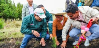 Gobierno lanza programa forestal con meta de 10 millones de árboles al 2028 Gobierno lanza campaña 2026 del Programa Bosques Productivos Sostenibles con meta de 10 millones de árboles