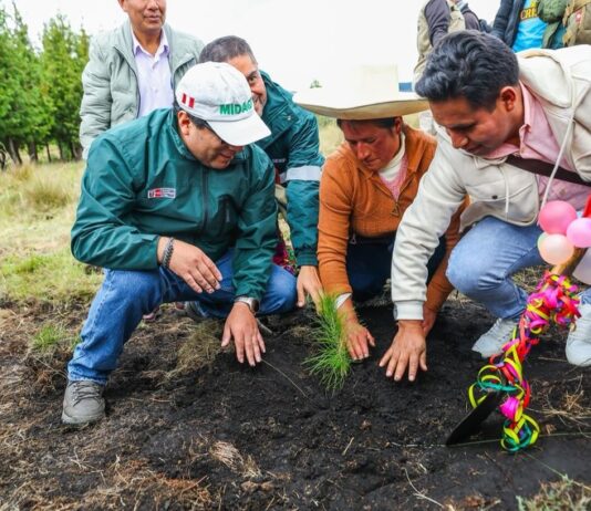 Gobierno lanza programa forestal con meta de 10 millones de árboles al 2028 Gobierno lanza campaña 2026 del Programa Bosques Productivos Sostenibles con meta de 10 millones de árboles