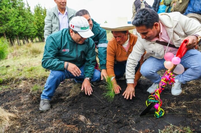 Gobierno lanza campaña 2026 del Programa Bosques Productivos Sostenibles con meta de 10 millones de árboles