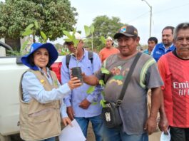 Productores de Cura Mori incorporan siembra de algarrobo para fortalecer sistemas agrícolas Productores de Cura Mori incorporan siembra de algarrobo para fortalecer sistemas agrícolas