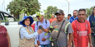 Productores de Cura Mori incorporan siembra de algarrobo para fortalecer sistemas agrícolas Productores de Cura Mori incorporan siembra de algarrobo para fortalecer sistemas agrícolas