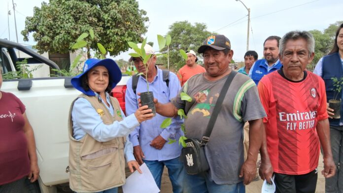 Productores de Cura Mori incorporan siembra de algarrobo para fortalecer sistemas agrícolas