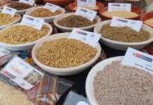 Chiclayo será sede del II Congreso Peruano de Semillas y Viveros 2026 Chiclayo será sede del II Congreso Peruano de Semillas y Viveros 2026