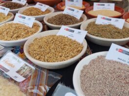 Chiclayo será sede del II Congreso Peruano de Semillas y Viveros 2026 Chiclayo será sede del II Congreso Peruano de Semillas y Viveros 2026