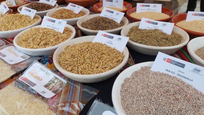 Chiclayo será sede del II Congreso Peruano de Semillas y Viveros 2026