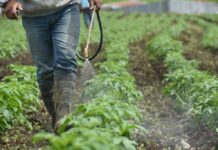 Cancelación de plaguicidas pondría en riesgo a casi 5 millones de agricultores, advierte especialista Cancelación de plaguicidas pondría en riesgo a casi 5 millones de agricultores, advierte especialista