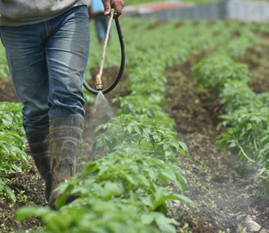 Cancelación de plaguicidas pondría en riesgo a casi 5 millones de agricultores, advierte especialista Cancelación de plaguicidas pondría en riesgo a casi 5 millones de agricultores, advierte especialista