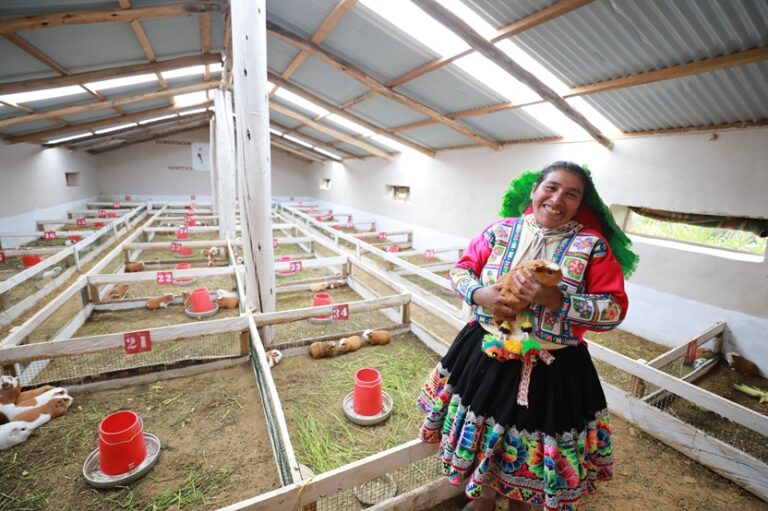 Perú: más de 469 mil familias rurales acceden a tecnologías productivas