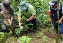 Huancabamba: taller informará sobre acceso a financiamiento para el agro este 21 de abril Huancabamba: taller informará sobre acceso a financiamiento para el agro