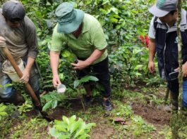 Huancabamba: taller informará sobre acceso a financiamiento para el agro este 21 de abril Huancabamba: taller informará sobre acceso a financiamiento para el agro
