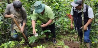 Huancabamba: taller informará sobre acceso a financiamiento para el agro este 21 de abril Huancabamba: taller informará sobre acceso a financiamiento para el agro