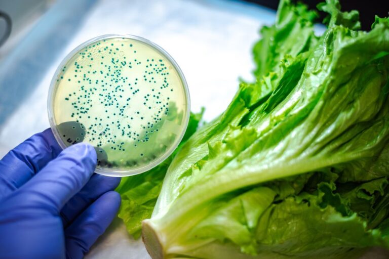 Día Mundial de la Salud: sanidad de cultivos impacta en la seguridad alimentaria