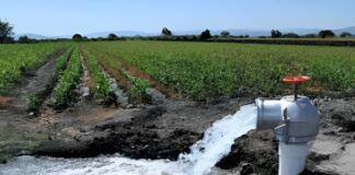 Impulsan acciones para fortalecer la gestión del agua en el Perú mediante diálogo interinstitucional Impulsan acciones para fortalecer la gestión del agua en el Perú mediante diálogo interinstitucional