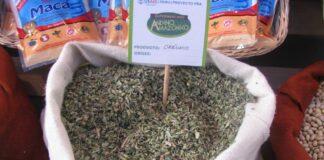 ADEX solicitará creación de mesa técnica para fortalecer exportación de hierbas, especias y condimentos ADEX solicitará creación de mesa técnica para fortalecer exportación de hierbas, especias y condimentos