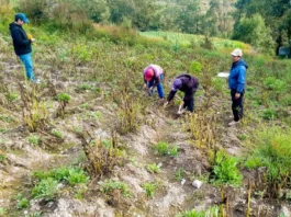 Midagri activa Seguro Agrícola Catastrófico 2025-2026 en Ica para proteger cultivos ante eventos climáticos Midagri activa Seguro Agrícola Catastrófico 2025-2026 en Ica para proteger cultivos ante eventos climáticos