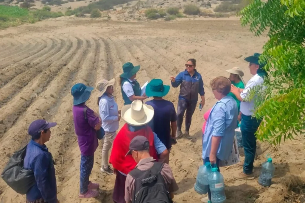 Agricultores de Trujillo se capacitan para mejorar calidad del maíz morado