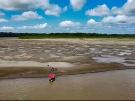 Senamhi advierte que la Amazonía peruana podría enfrentar una severa sequía por el fenómeno El Niño Senamhi advierte que la Amazonía peruana podría enfrentar una severa sequía por el fenómeno El Niño