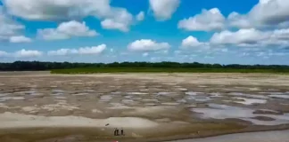 Senamhi advierte que la Amazonía peruana podría enfrentar una severa sequía por el fenómeno El Niño Senamhi advierte que la Amazonía peruana podría enfrentar una severa sequía por el fenómeno El Niño