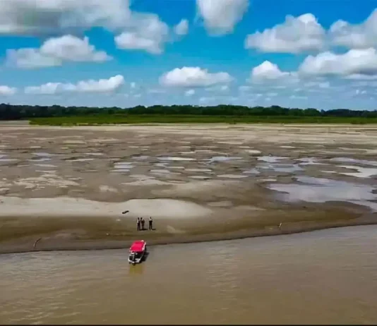 Senamhi advierte que la Amazonía peruana podría enfrentar una severa sequía por el fenómeno El Niño Senamhi advierte que la Amazonía peruana podría enfrentar una severa sequía por el fenómeno El Niño