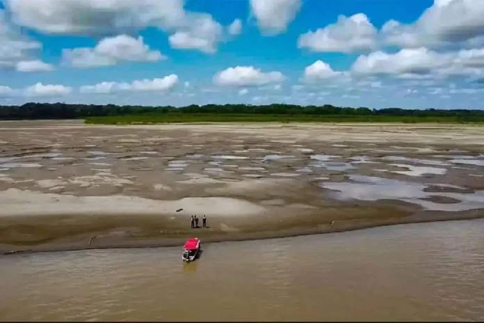 Senamhi advierte que la Amazonía peruana podría enfrentar una severa sequía por el fenómeno El Niño Senamhi advierte que la Amazonía peruana podría enfrentar una severa sequía por el fenómeno El Niño